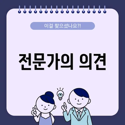 전문가의 의견