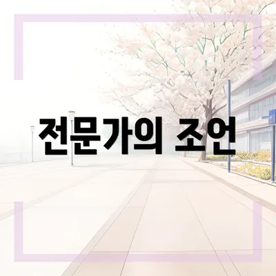 전문가의 조언