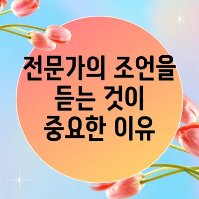 전문가의 조언을 듣는 것이 중요한 이유