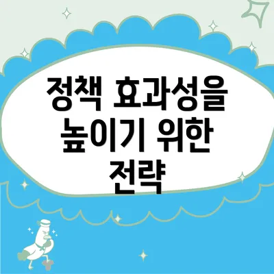 정책 효과성을 높이기 위한 전략