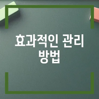 효과적인 관리 방법