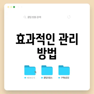 효과적인 관리 방법