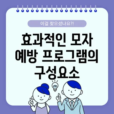 효과적인 모자 예방 프로그램의 구성요소