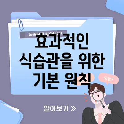 효과적인 식습관을 위한 기본 원칙
