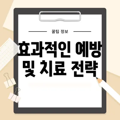 효과적인 예방 및 치료 전략
