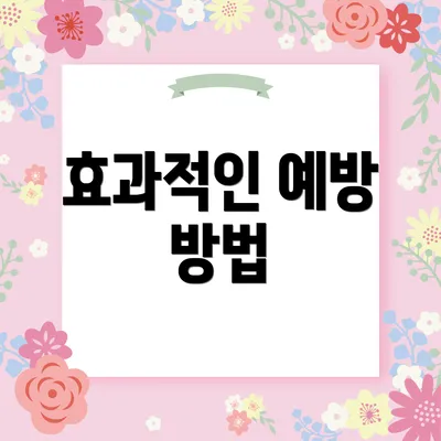 효과적인 예방 방법