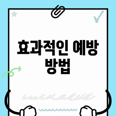 효과적인 예방 방법