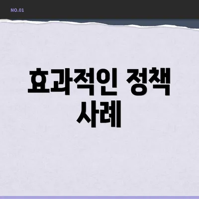 효과적인 정책 사례