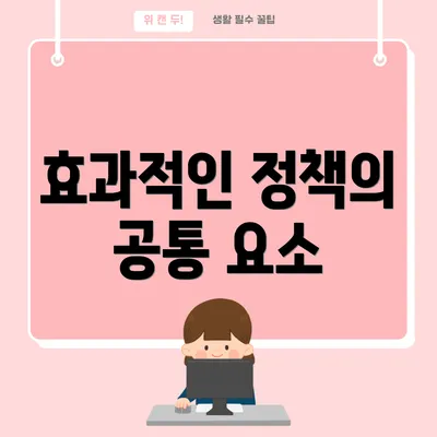 효과적인 정책의 공통 요소