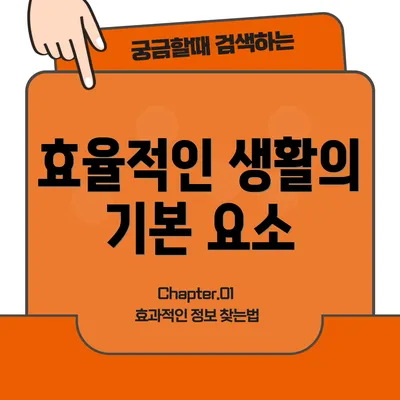 효율적인 생활의 기본 요소