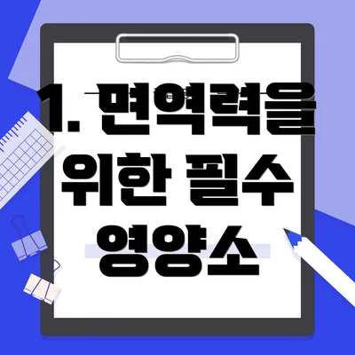 1. 면역력을 위한 필수 영양소