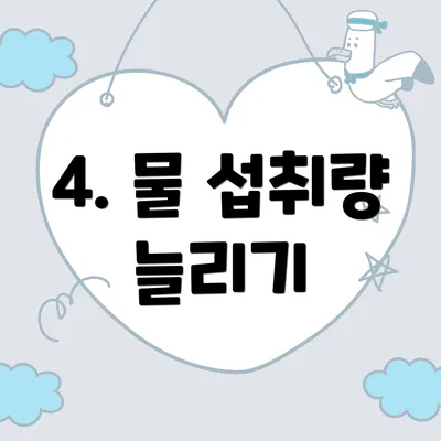 4. 물 섭취량 늘리기