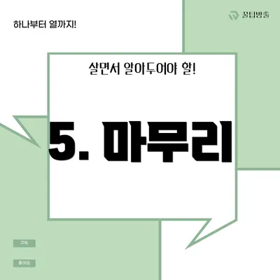 5. 마무리