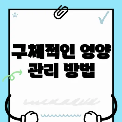 구체적인 영양 관리 방법