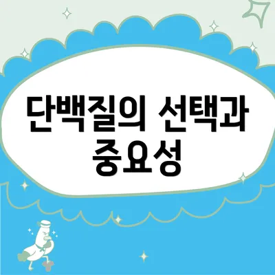 단백질의 선택과 중요성