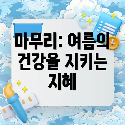 마무리: 여름의 건강을 지키는 지혜