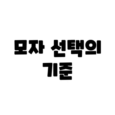 모자 선택의 기준