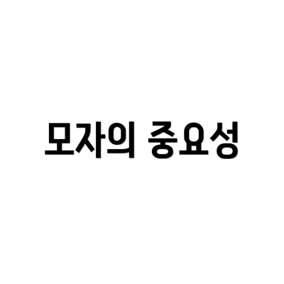 모자의 중요성