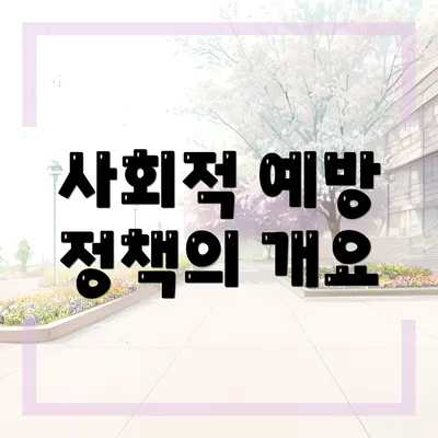사회적 예방 정책의 개요