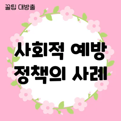 사회적 예방 정책의 사례