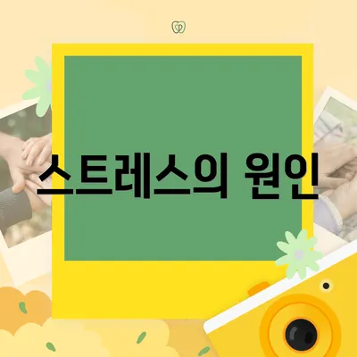 스트레스의 원인