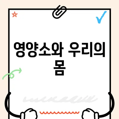 영양소와 우리의 몸