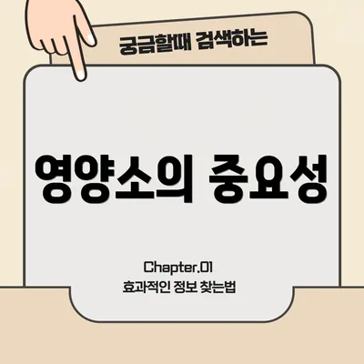 영양소의 중요성