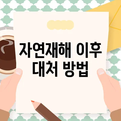 자연재해 이후 대처 방법
