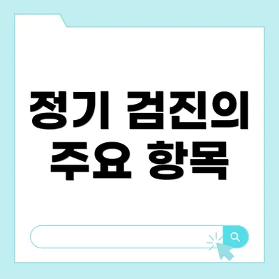 정기 검진의 주요 항목