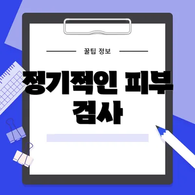 정기적인 피부 검사
