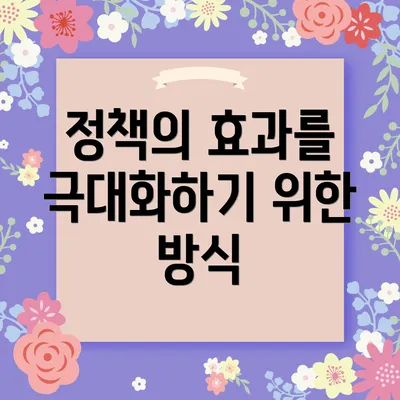 정책의 효과를 극대화하기 위한 방식