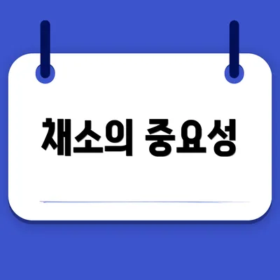 채소의 중요성