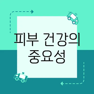 피부 건강의 중요성