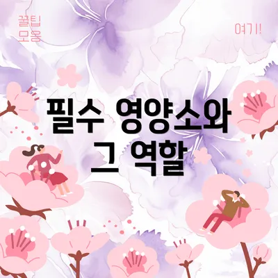 필수 영양소와 그 역할