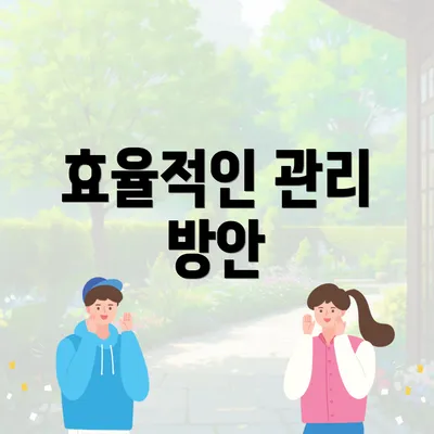 효율적인 관리 방안